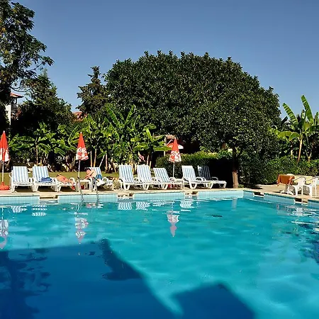Korient 3*